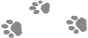 _2